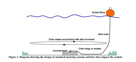 Boat Mooring System
